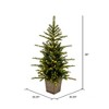 Vickerman 4' x 30" Winston Spruce Artificial Christmas Tree PreLit - 3 of 4