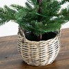 Nearly Natural 1.5' Pre-Lit Artificial Mini Christmas Tree in Basket with 20 Warm White LED Lights - 4 of 4