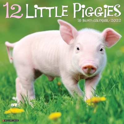 2022 Wall Calendar 12 Little Piggies - Willow Creek Press