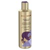 Gold Series from Pantene Moisture Boost Shampoo with Argan Oil for Curly, Coily Hair - 9.1 fl oz - image 3 of 4