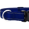 Country Brook Petz Deluxe Reflective Nylon Dog Collar - 4 of 4