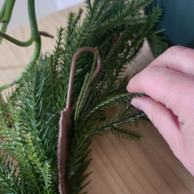 Guest review image 2 of 3, zoom in