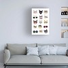 Hanna Melin  'Cats With Glasses' Canvas Art - 3 of 4