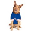 NHL New York Rangers Adam Fox Pets Jersey - M - 4 of 4