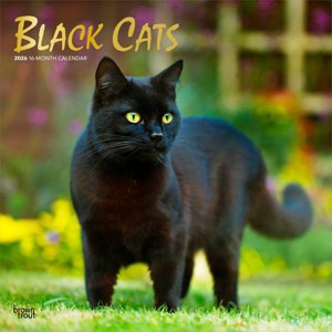 BrownTrout Black Cats 2026 12"x24" Hanging Square Wall Calendar Plastic-Free - 1 of 4