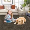 Modern Braided Print Area Rug Machine Washable Rug Stain Resistant Indoor Carpet With Non-Slip Backing Non Shedding Low Pile Floor Cover - 4 of 4