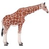 Legler: MOJO Giraffe Female International Wildlife Hand Painted Toy Figurine - 2 of 4