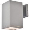Elegant Lighting Raine Outdoor Wall in silver - 3 of 4