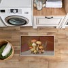 Stupell Industries Mushrooms & Ferns on Blue Printed Plush Bathroom Floor Mat, design by Tim Coffey - 4 of 4