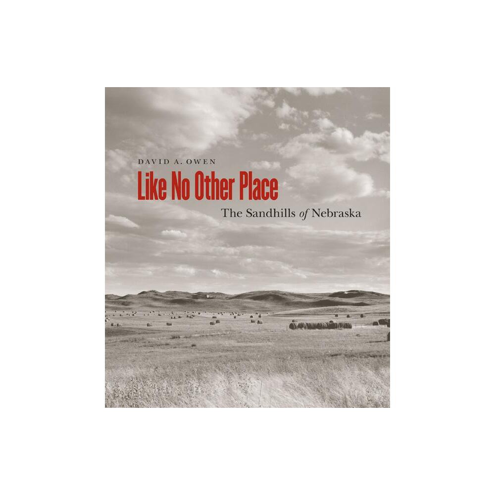 Like No Other Place - by David Owen (Paperback)