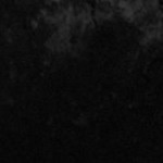 tampa bay buccaneers