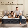 Dronkon 10in Memory Foam Hybrid Mattress with Individually Pocketed Springs for Isolate Motion, Pressure Relief, CertiPUR-US Certified - 2 of 4