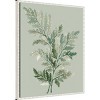 Amanti Art 23"x28" Tonal Green Ferns I by Elizabeth Medley Framed Canvas Wall Art Print: Modern Style, Polystyrene Frame - 2 of 4