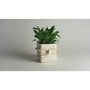 6" Wide Square Plant Holder White - image 2 of 4