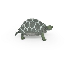 Collectible Wildlife Gifts | Tortoise, Testudinidae, Reptiles, Realistic Rubber Reproduction, Hand Painted Figurines       2.5"      CH145 B246 - 1 of 4