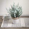 Sullivans Artificial 24" Lush Potted Eucalyptus Bush, Green - 3 of 4