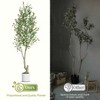 Tall Faux Olive Tree，5/6/7ft（60/72/84in） Tall Faux Olive Tree with White Planter and Green Fake Moss , 1 o r 2 Pack - 4 of 4