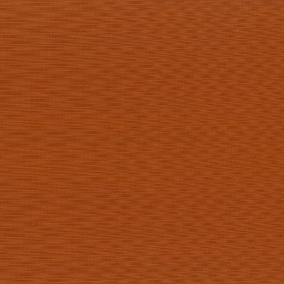 Cinnamon Orange Square Outdoor Throw Pillow Set