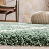 Hudson Shag SGH281 Power Loomed Indoor Rugs - Safavieh - 3 of 4