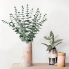 Attop  30 Pieces Of Eucalyptus Stem Artificial Eucalyptus Leaf Stem, Eucalyptus Stem Decoration Fake Green Stem Green Decoration Artificial Flower - 3 of 4