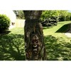 Fun Express Led Tree Ghost with Light-Up Eyes for Halloween Home Decor  1 Piece - 2 of 2