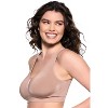 Paramour by Felina | Body Smooth Seamless Wireless Bralette 2-Pack - 3 of 4