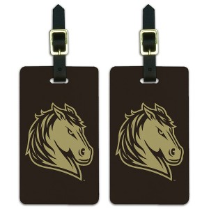 Southwest Minnesota State University Primary Logo Luggage ID Tags Suitcase CarryOn Cards  Set of 2 - 1 of 4