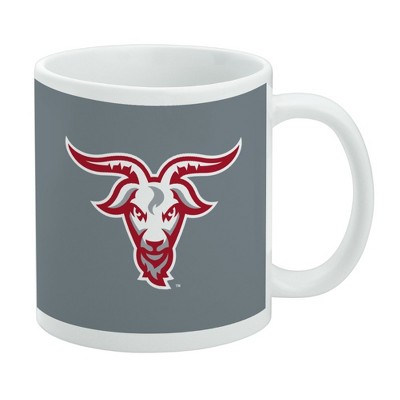 WPI Secondary Logo Ceramic Coffee Mug Novelty Gift Mugs for Coffee Tea and Hot Drinks 11oz White