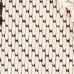 ivory, charcoal, black