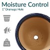 Sunnydaze Chalet Outdoor/Indoor High-Fired Glazed UV- and Frost-Resistant Ceramic Planters with Drainage Holes - 2-Pack - 4 of 4