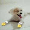 Unique Bargains Dog Cats Non-Slip Socks Duck Pattern Paw Protection and Traction Color Mixing 4 Pcs - 4 of 4