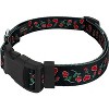Country Brook Petz Deluxe Dog Collar - Affection Collection - 2 of 4