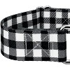 Country Brook Petz® 2 Inch Martingale Dog Collar - 4 of 4