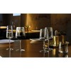 Bormioli Rocco Planeo Red Wineglass - Set of 4 - 3 of 4