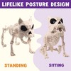 Joyfy 2 PCS 16" Halloween Poseable Animal Puppy Skeleton Decor, Dog Plastic Bones with Posable Joints for Graveyard Party Prop Decor - 4 of 4