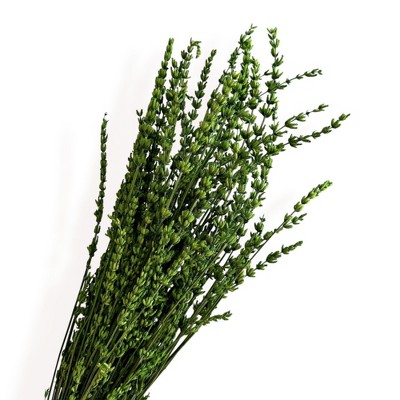 Alilang Decorative Dried Greenery Stems for Home Decoration and Floral Arrangements, 17.7 Inches