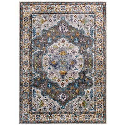 Modway Success Anisah Distressed Floral Vintage Medallion 8x10 Area Rug