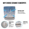 Ceramic Flowerpot - 3 of 4