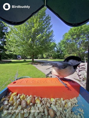 Guest review image 1 of 6, zoom in