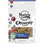 Nutro Crunchy Mixed Berry Fruit Dog Treats - 10oz