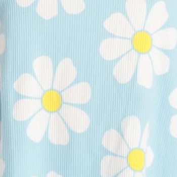 brushed daisy dreams