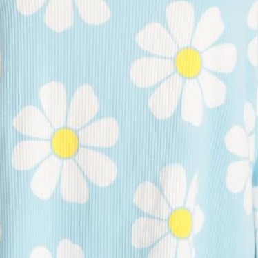 brushed daisy dreams