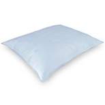 DOWNLITE Low Profile 250 TC 525 FP White Down Pillow - Stomach Sleepers Only Very Flat