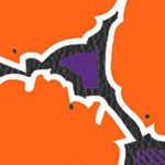 clemson tigers