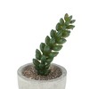 Unique Bargains Artificial Plants Mini Single Wheat Stalk in Pulp Plastic Green 2.56"x2.56"x4.72" 1 Pcs - 4 of 4