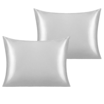 2 Pack Satin Pillowcases for Hair and Skin, Luxurious and Silky Pillow Cases with Envelope Closure - NTBAY
