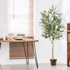 Tangkula Artificial Olive Tree 6 FT Tall Faux Olive Plants for Indoor and Outdoor - 2 of 4