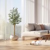 Acekool Artificial Olive Tree in Pot with Lifelike Fruits – Indoor Faux Silk Potted Tree for Home and Office - 4 of 4
