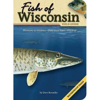 Fish Of Minnesota Field Guide - (fish Identification Guides) 2nd Edition By  Dave Bosanko : Target