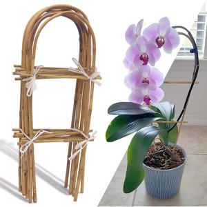 ACOINEL 10 Pack 2ft U-Shape Bamboo Trellis, Natural Plant Support for Climbing  Plants Indoor Outdoor : Target